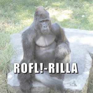 rofl-rillla.jpg