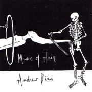 Andrew Bird - Music of Hair (art by Audrey Niffenegger)