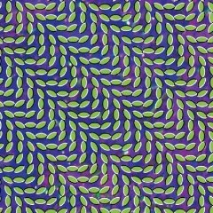 Animal Collective - Merriweather Post Pavilion