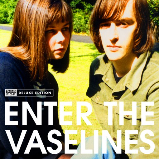 Enter The Vaselines