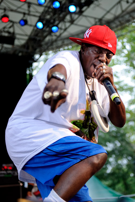 Public Enemy at Central Park Summerstage