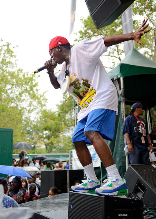 Public Enemy at Central Park Summerstage