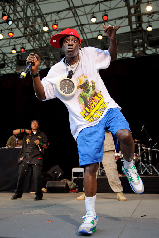 Public Enemy at Central Park Summerstage