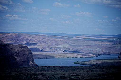 2012 Sasquatch Festival - Saturday