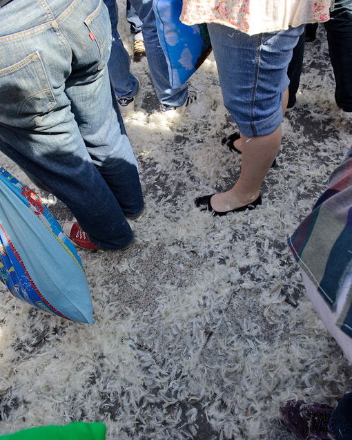 Union Square Pillow Fight