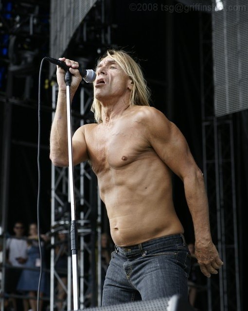 Iggy Pop at the Virgin Mobile Festival