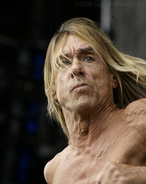 Iggy Pop at the Virgin Mobile Festival