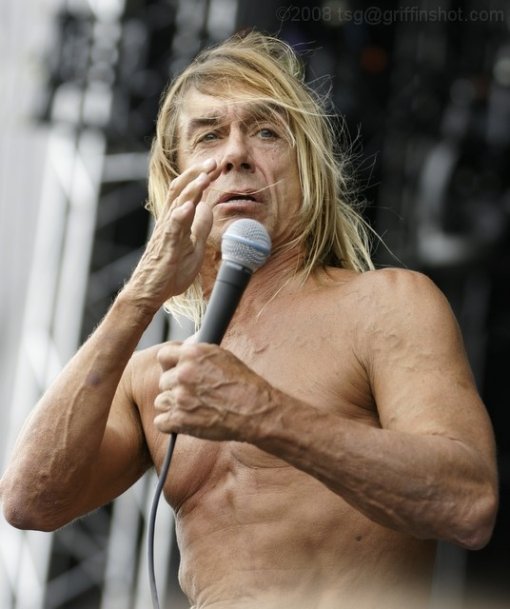 Iggy Pop at the Virgin Mobile Festival