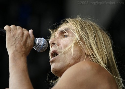 Iggy Pop at the Virgin Mobile Festival