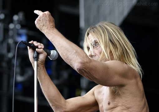 Iggy Pop at the Virgin Mobile Festival