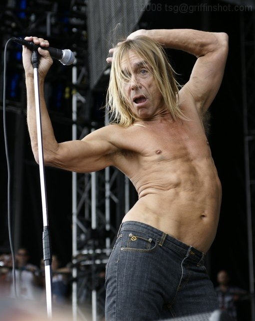 Iggy Pop at the Virgin Mobile Festival