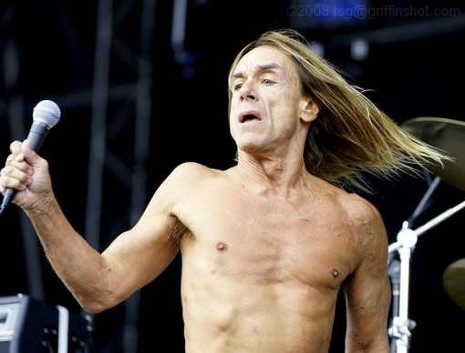 Iggy Pop at the Virgin Mobile Festival