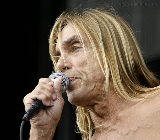 Iggy Pop at the Virgin Mobile Festival