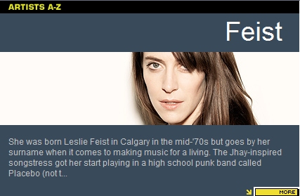 Feist Unplugged on VH1