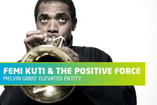 Femi Kuti at Celebrate Brooklyn!