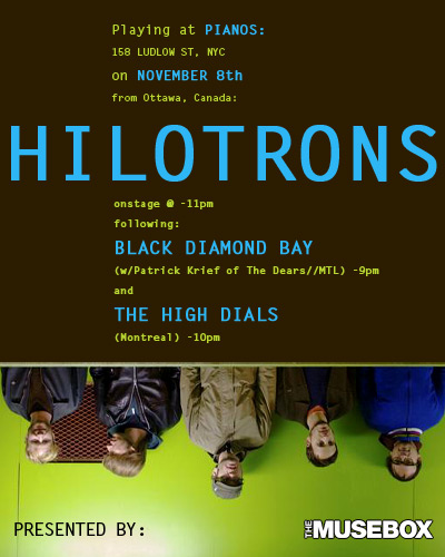 Hilotrons, High Dials, Black Diamond Bay