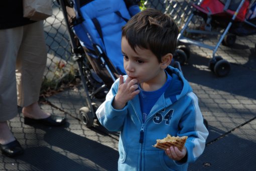 Max eating grilled cheese