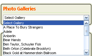 Making a Drop Down List Photo Gallery in WordPress