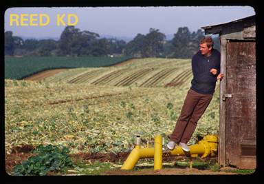 Reed KD
