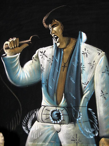 Velvet Elvis